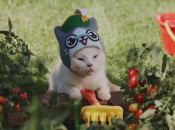 Video: Video: Watch Cats Attempt Various Monster Hunter Related Activities