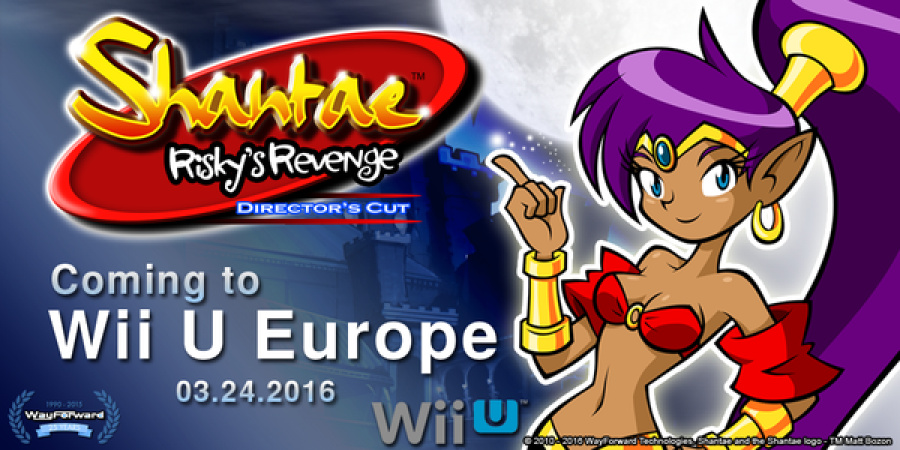 Shantae: Risky's Revenge Director's Cut