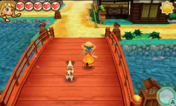 Pet.png