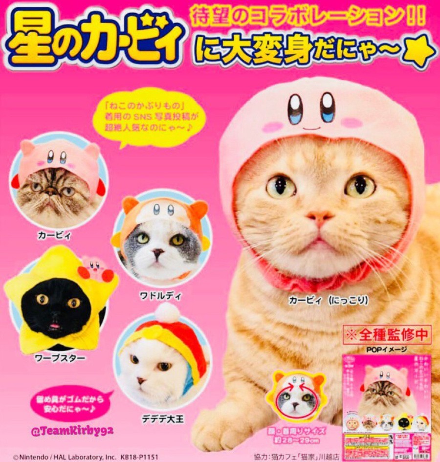 kirbycat2.jpg