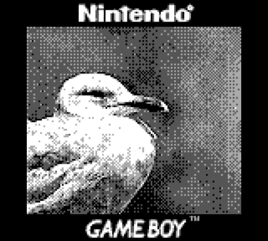 photo1.png