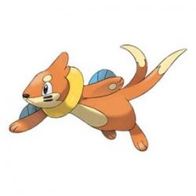 Buizel