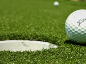 Pro-Putt Domo (DSiWare)