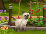 Review: Review: Pet Inn 3D (3DS eShop)