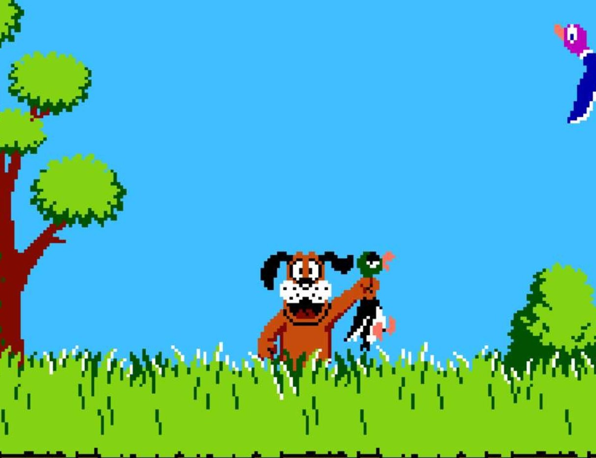 Comment jouer duck hunt nes