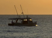 Reel Fishing Ocean Challenge (WiiWare)
