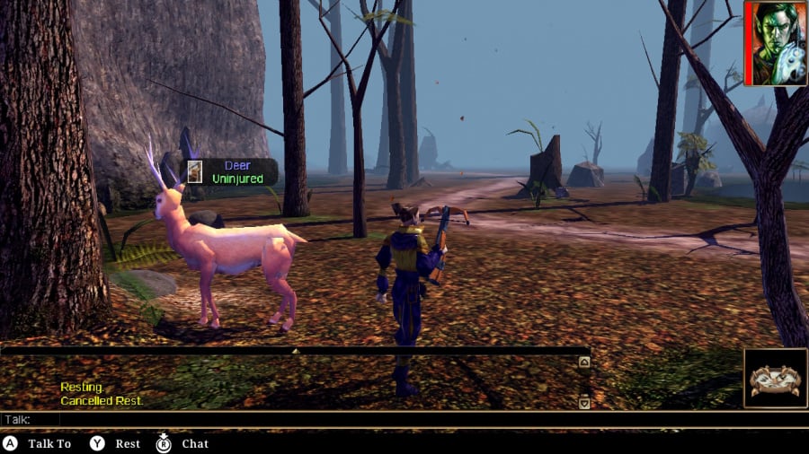 Neverwinter Nights: Revisión de la edición mejorada: captura de pantalla 4 de 6