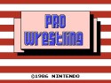 Pro Wrestling Screenshot