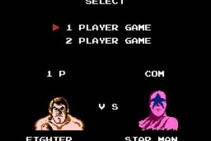 Pro Wrestling (NES) Game Profile | News, Reviews, Videos & Screenshots