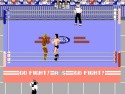 Pro Wrestling Screenshot