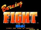 Burning Fight Screenshot