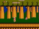 Adventure Island Screenshot