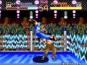 World Heroes Screenshot