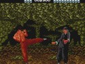 China Warrior Screenshot