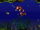 Donkey Kong Country Screenshot