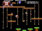 Donkey Kong Jr. Screenshot
