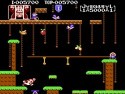 Donkey Kong Jr. Screenshot