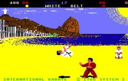 International Karate Screenshot