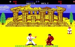 International Karate Screenshot