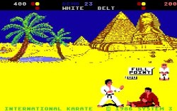International Karate Screenshot