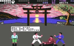 International Karate + Screenshot