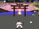 International Karate + Screenshot