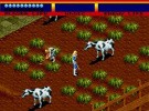 Light Crusader Screenshot