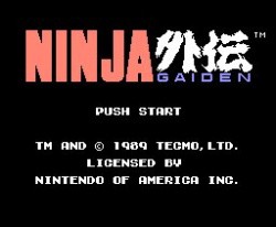 Ninja Gaiden Screenshot