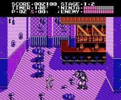Ninja Gaiden Screenshot