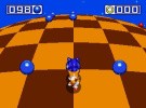 Sonic the Hedgehog 3 Screenshot