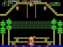 Donkey Kong 3 Screenshot