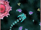 Diatomic Screenshot
