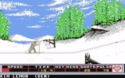 Winter Games Screenshot