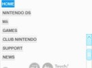 Nintendo DSi Browser Screenshot