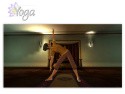 Yoga for Wii Screenshot