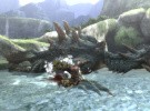 Monster Hunter 3 (Tri~) Screenshot