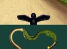 Puffins: Let's Race! Screenshot