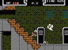 DuckTales Screenshot