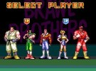 Brawl Brothers Screenshot