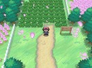 Pokémon Black and White Screenshot
