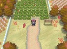 Pokémon Black and White Screenshot