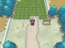 Pokémon Black and White Screenshot