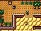 The Legend of Zelda: Link's Awakening DX Screenshot
