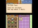 Harvest Moon DS: The Tale of Two Towns Screenshot