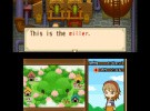 Harvest Moon 3D: The Tale of Two Towns Screenshot