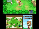 Harvest Moon 3D: The Tale of Two Towns Screenshot