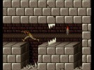 Prince of Persia Screenshot