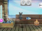 Pets Resort 3D Screenshot