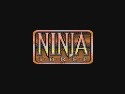 Last Ninja 3 Screenshot