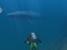 Endless Ocean Screenshot